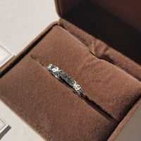 Show Me The Ring • Steel