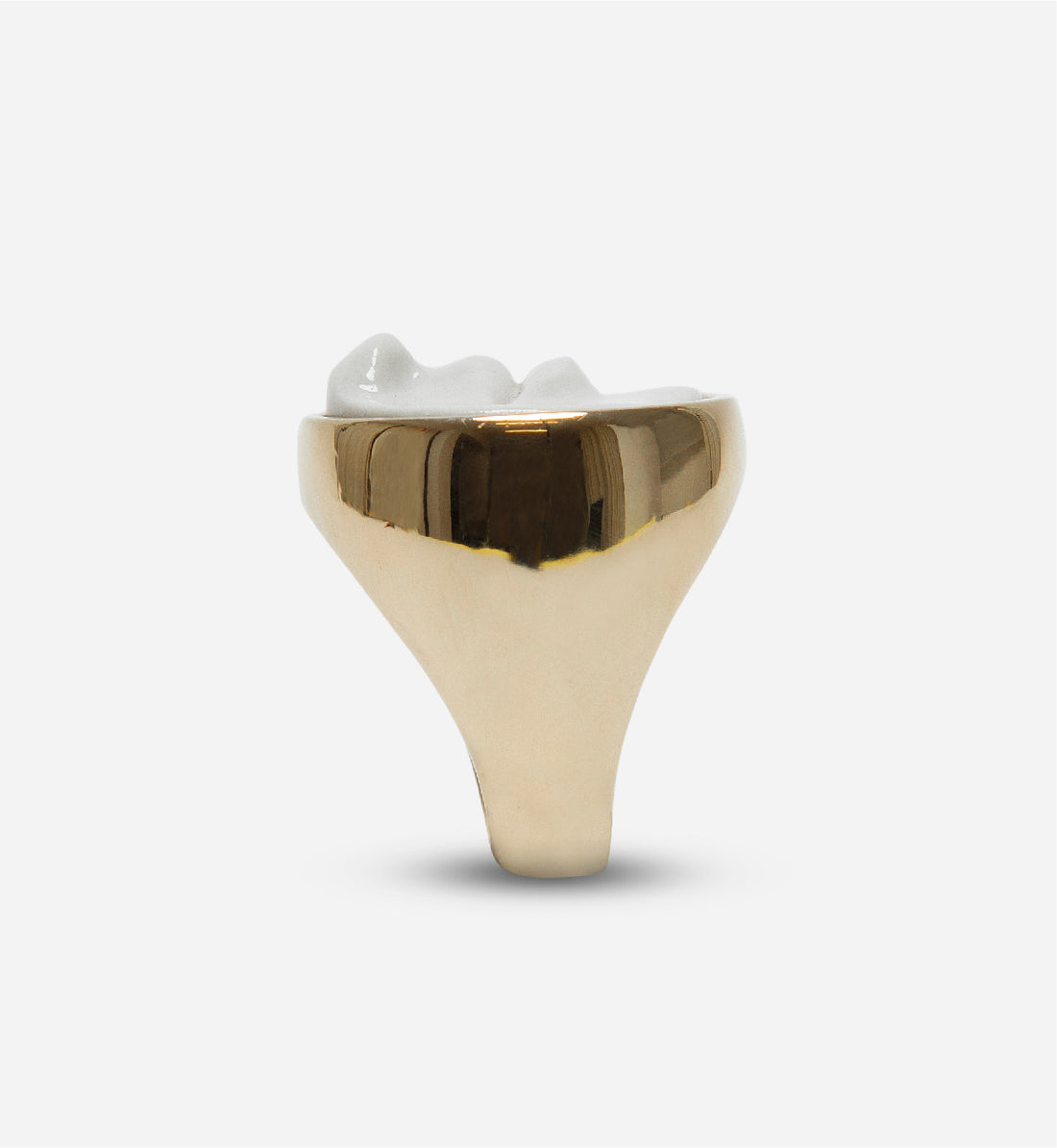 Andres Gallardo / Face Seal Ring