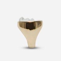 Andres Gallardo / Face Seal Ring