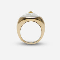 Andres Gallardo / Tongue Seal Ring
