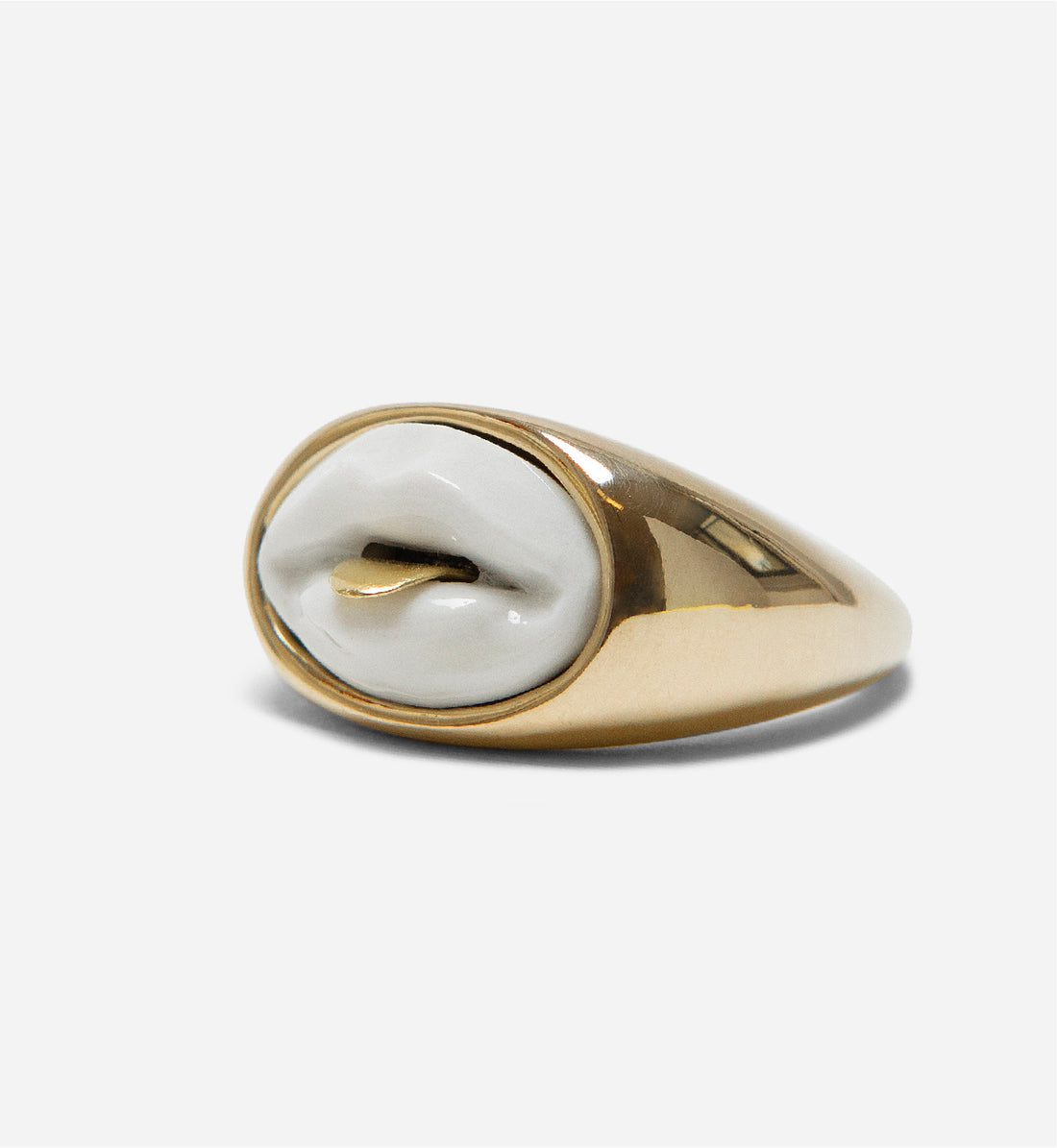 Andres Gallardo / Tongue Seal Ring