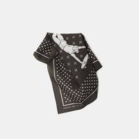 Private Visit / Botanical Dye Bandana • Mud Black