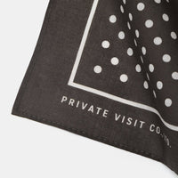 Private Visit / Botanical Dye Bandana • Mud Black