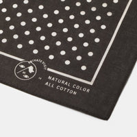 Private Visit / Botanical Dye Bandana • Mud Black