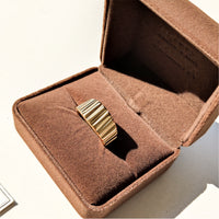 Potato Chips Ring