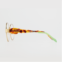 Percy Lau / Light Sassy • Turtle