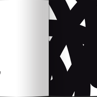 Issue #3 : White Sindrom