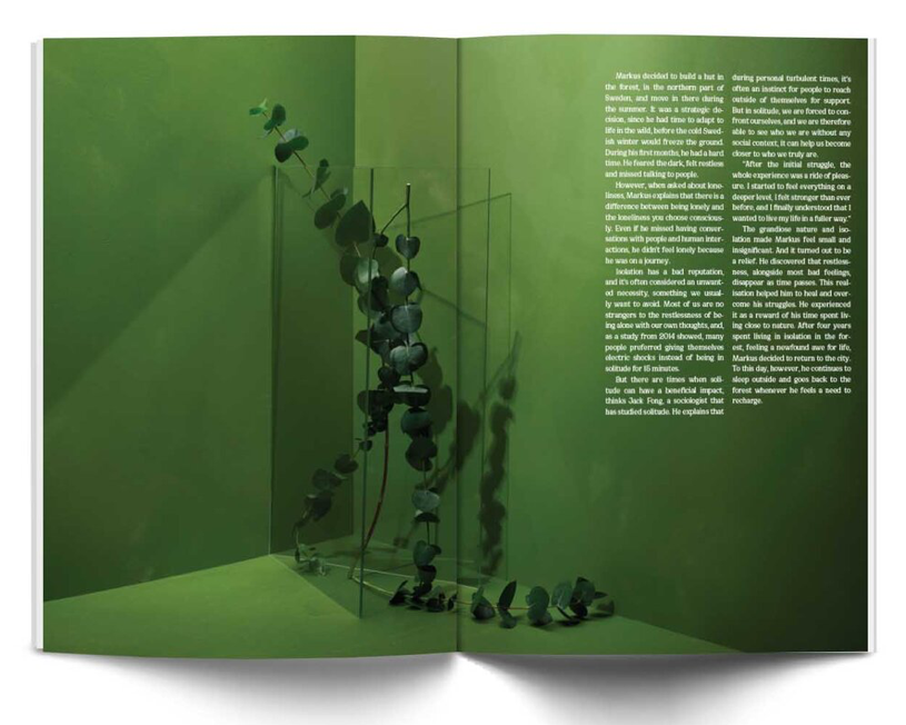 Issue #5: Evergreen Sindrom