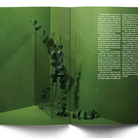 Issue #5: Evergreen Sindrom