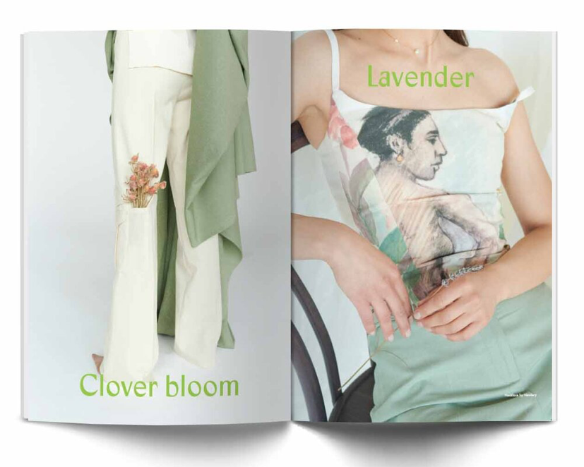 Issue #5: Evergreen Sindrom