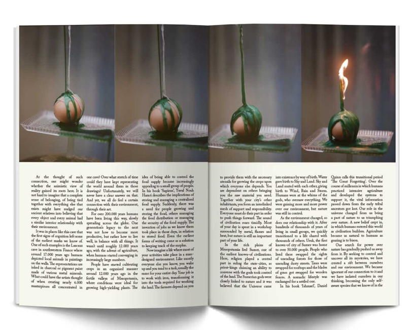 Issue #5: Evergreen Sindrom