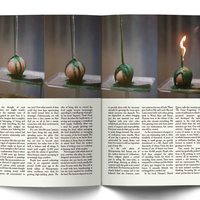 Issue #5: Evergreen Sindrom